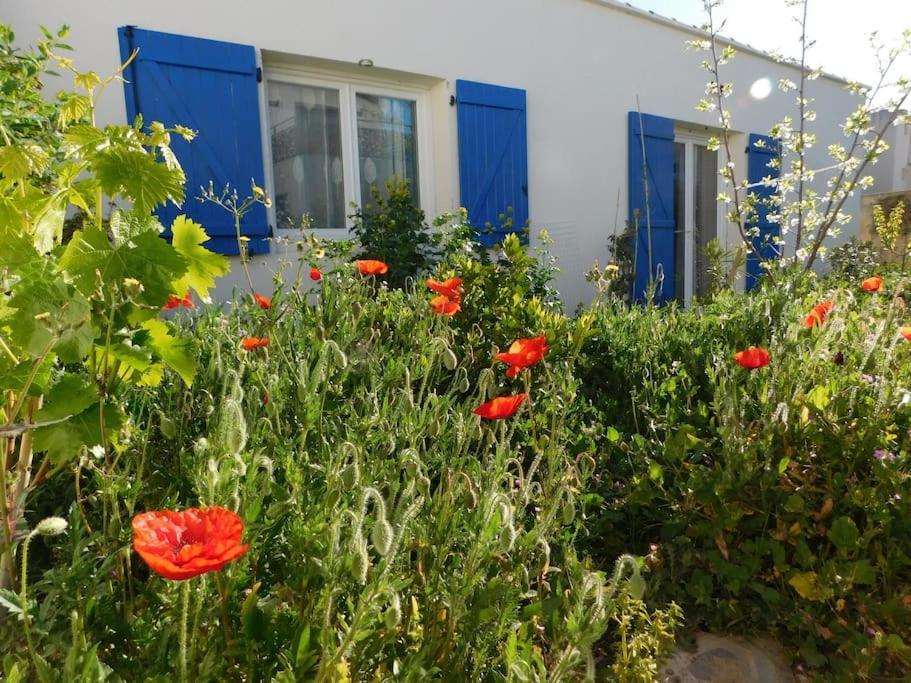 Maisonnette De Jardin Marseilles Exterior foto